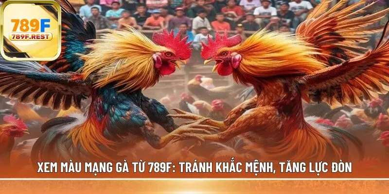 xem màu mạng gà